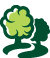 15 anni di esperienza